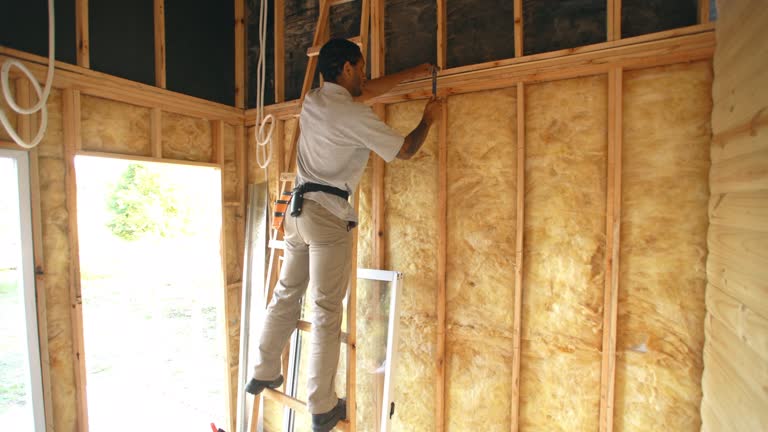 Best Spray Foam Insulation  in Pingree Grove, IL